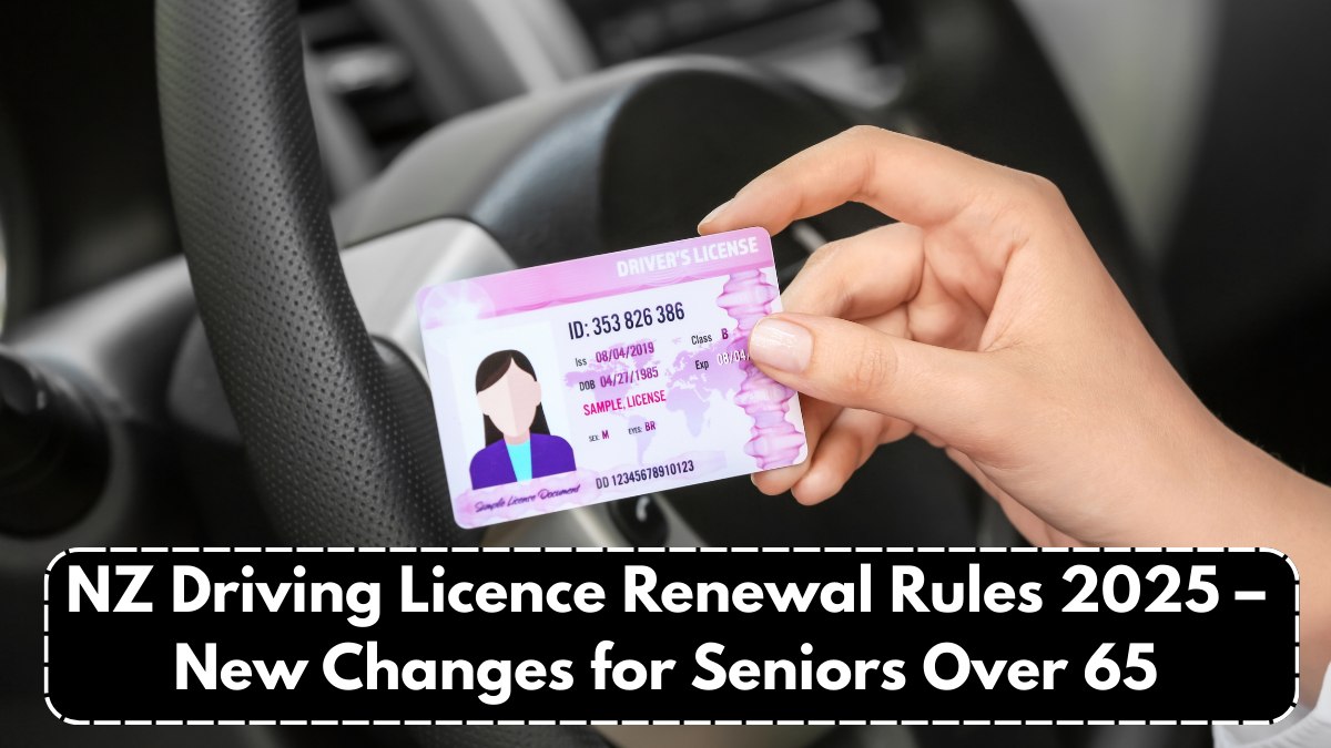 NZ Driving Licence Renewal Rules 2025 – New Changes for Seniors Over 65