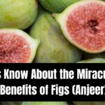 Let’s Know About the Miraculous Benefits of Figs (Anjeer)