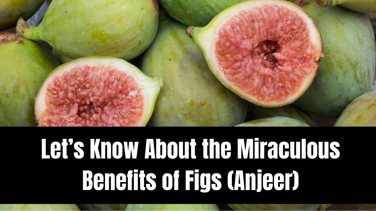 Let’s Know About the Miraculous Benefits of Figs (Anjeer)